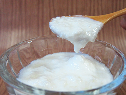 乳酸菌と酵母を含むケフィアヨーグルト