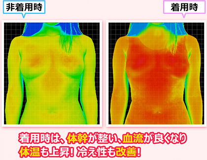 「エクスレンダー」が人気の７つの理由・特徴は？