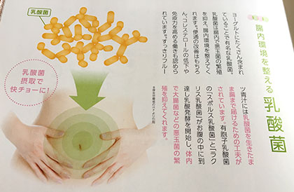 81種類の素材から抽出した酵素