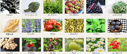 業界トップクラスの357種類の「生」酵素を配合