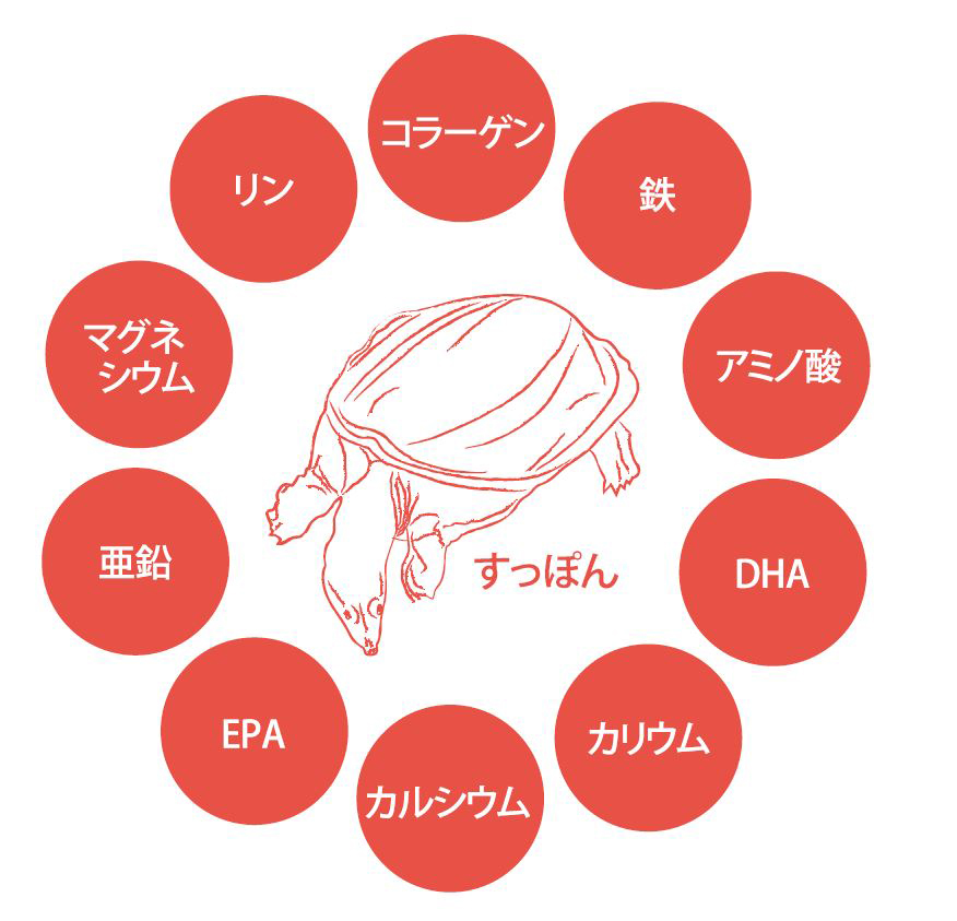 「肥後すっぽんもろみ酢」の成分は?