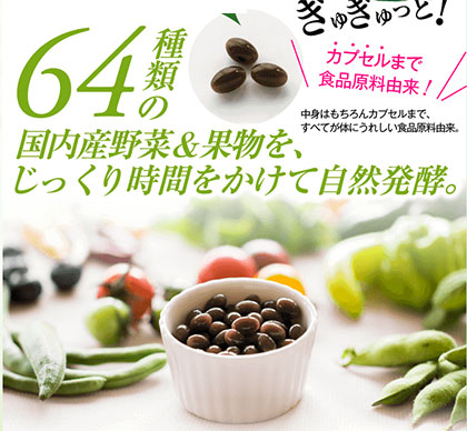 国内産野菜と果物64種類をじっくり自然発酵