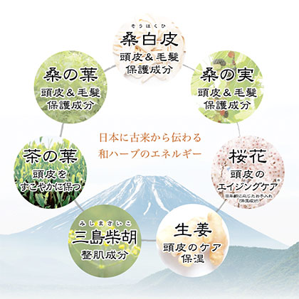 .N(ドットエヌ)の主な成分って?