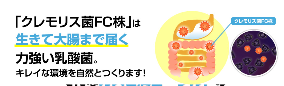 善玉のチカラ１