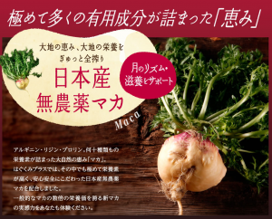 日本産マカ