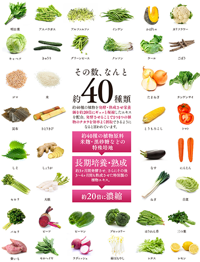 植物発酵エキス