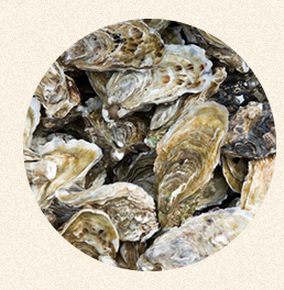 愛犬のお口サポート ペットシア