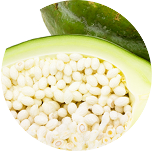 強力分解酵素でダイエットをサポート「青パパイヤ」