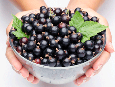 ワインの30倍のポリフェノールを含む「アサイー」