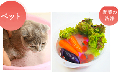 野菜を洗浄すると農薬除去になる「マルーン あんず」