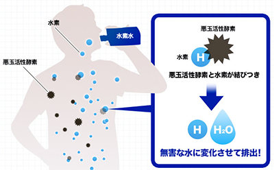活性酸素 活性水素 水 無害