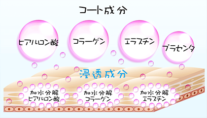 Eclat Charme(エクラシャルム)