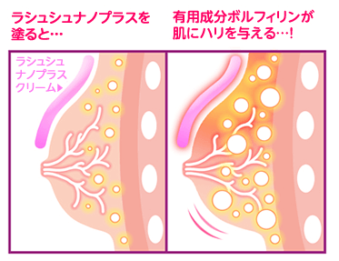 バストアップクリーム【ラ・シュシュ】