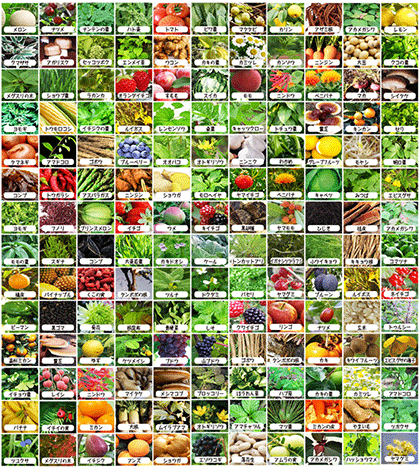 222種類の野菜果物植物発酵エキスをぎゅっと凝縮