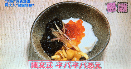 痩せ菌(ビフィズス菌とバクテロイデス)