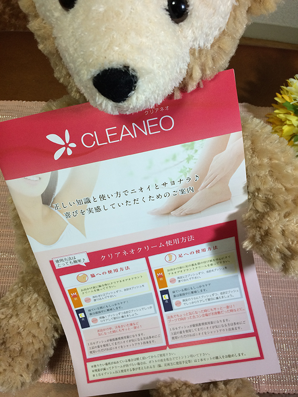 cleaneo