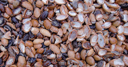 アルガンオイル