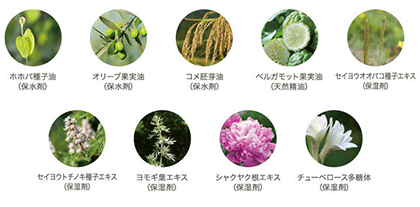 ViTAKT(バランシングウォータージェル)