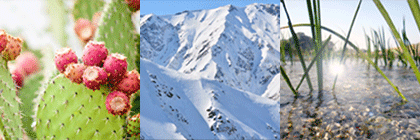 ViTAKT(バランシングウォータージェル)