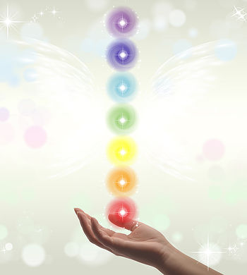出典:www.almamiyoko.com