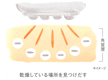 ION:美容成分を届ける