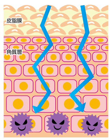 クリアフットヴェール