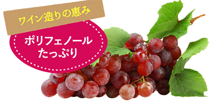 赤ブドウ葉エキス