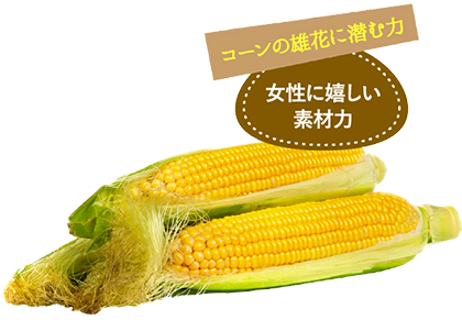 コーンシルクエキス