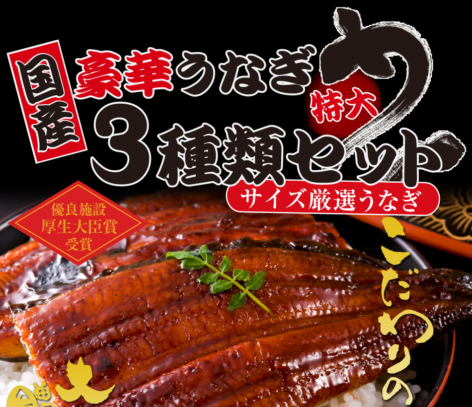 2015_unagi_002a