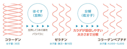 ニッピコラーゲン100