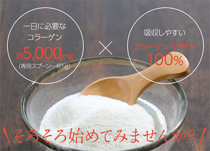 ニッピコラーゲン100