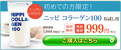 ニッピコラーゲン100