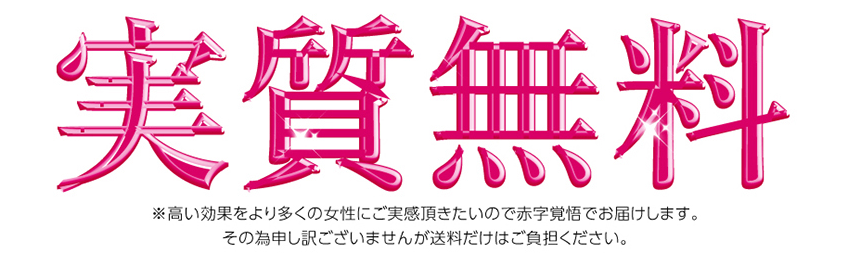 実質送料無料