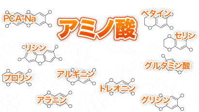 細胞レベルまで考えて、アミノ酸10種配合