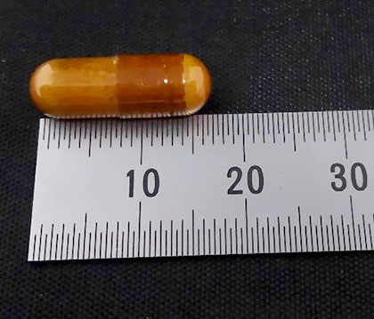 モデルの新常識「サンタンブロック」って?口コミと成分は?