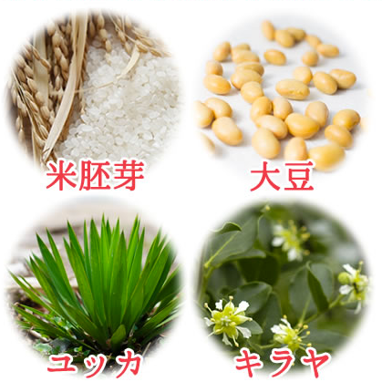 センスニュール