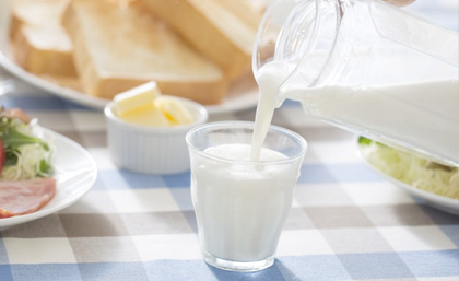 乳酸菌による整腸作用