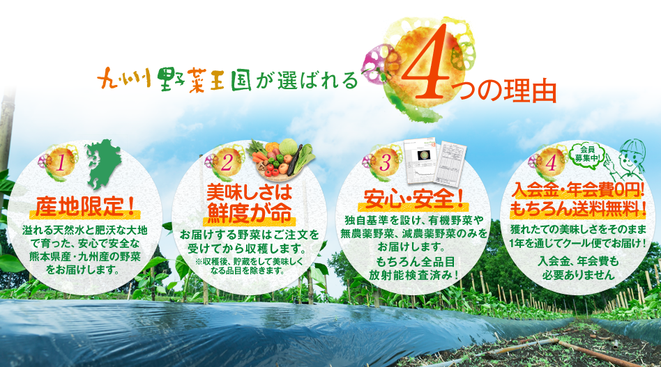 九州野菜王国 口コミ 評判