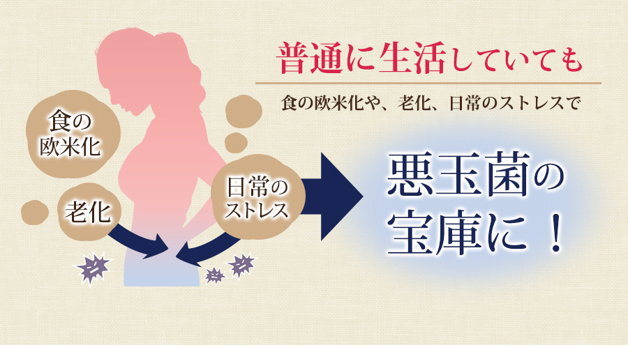 するっとカフェ