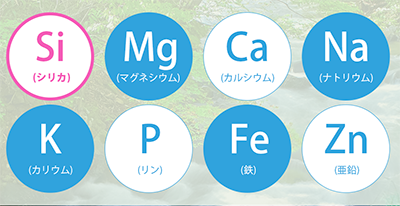 水素水 効果 ダイエット