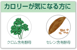 シリンジ法 サプリ