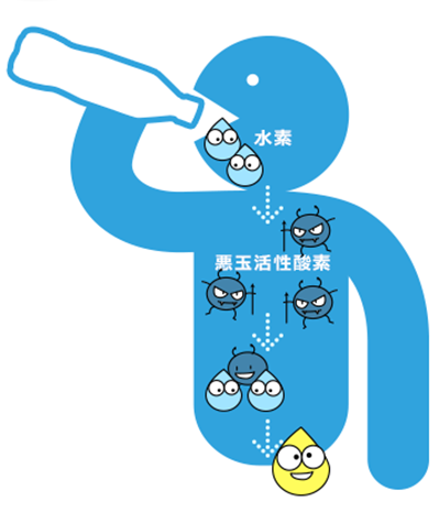 水素水サーバーランキング