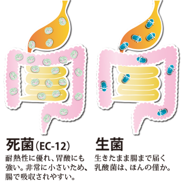 死菌