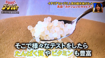 カタツムリキャビア 口コミ