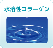 水溶性コラーゲン