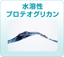 水溶性プリテオグリカン
