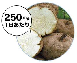 バストアップに有効なプエラリア