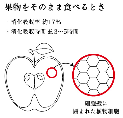 コールドプレスが自宅で作れる！クビンス ホールスロージューサーの2015年モデル