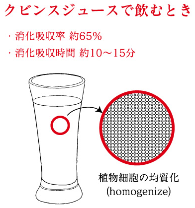 コールドプレスが自宅で作れる！クビンス ホールスロージューサーの2015年モデル