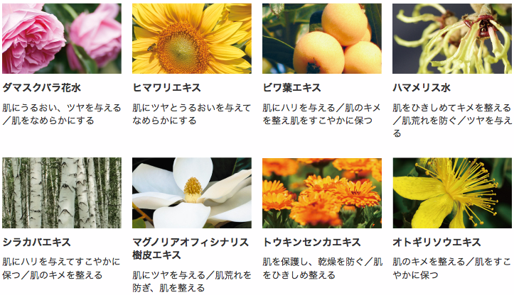 出典:loracle.jp